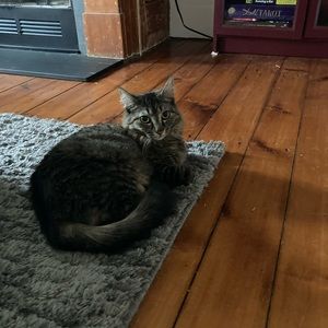 Meet your Posher, Bianca